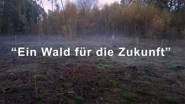 Video: Ein Wald für die Zukunft